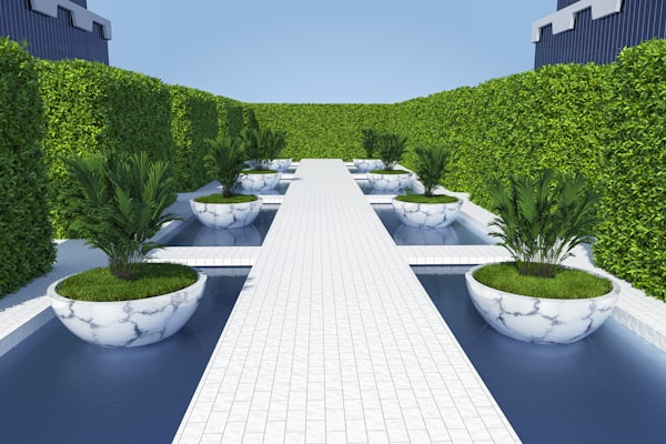 Jardin contemporain